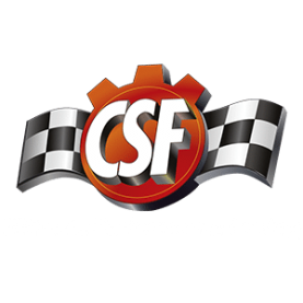 CSF